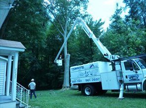 Residential tree care