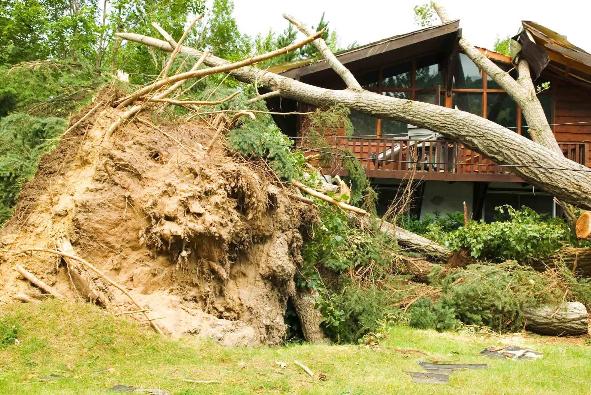 Destruction Forces Of Nature — Philadelphia, PA — Aclaim Adjustment Agency