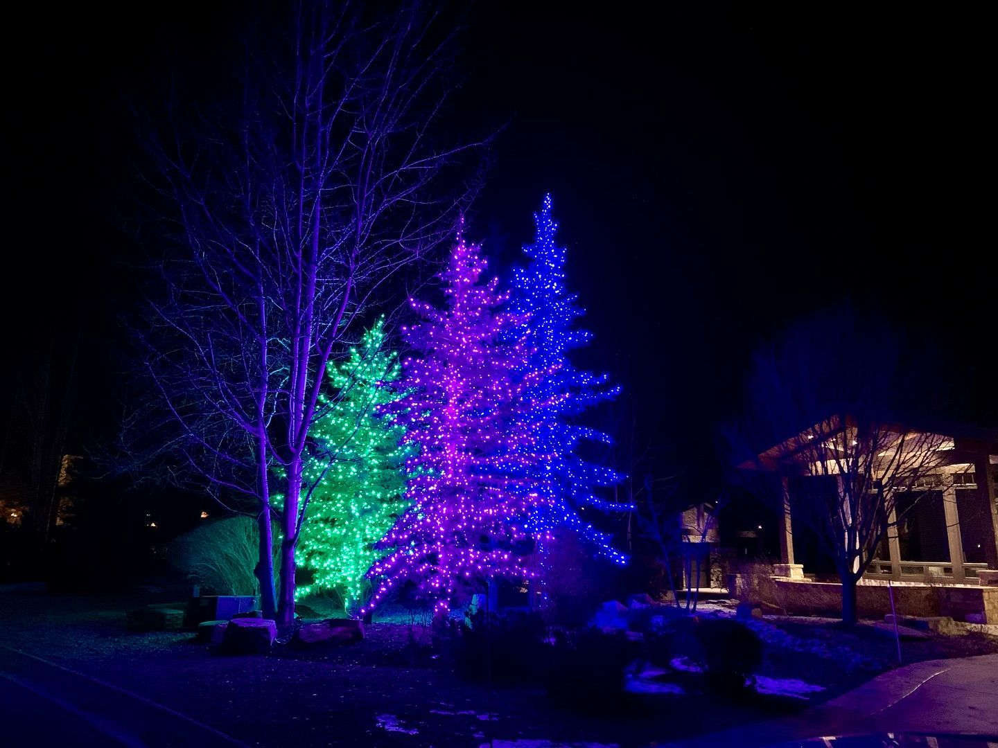 A couple of trees are lit up with christmas lights at night.