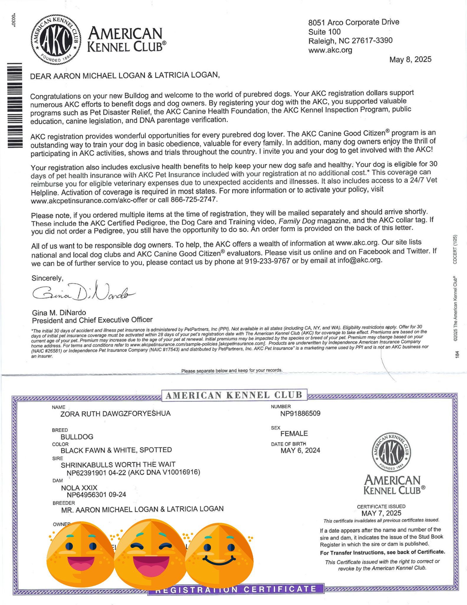 A document and certificate from the American Kennel Club, with an emoji graphic across the bottom.