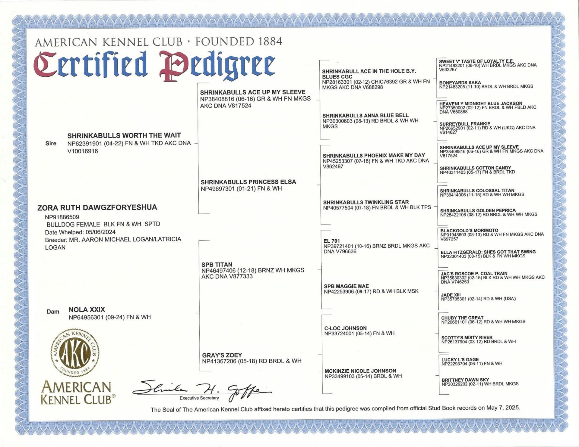 A dog's pedigree certificate, featuring a blue border, a logo, and various lines listing ancestors and breeds.