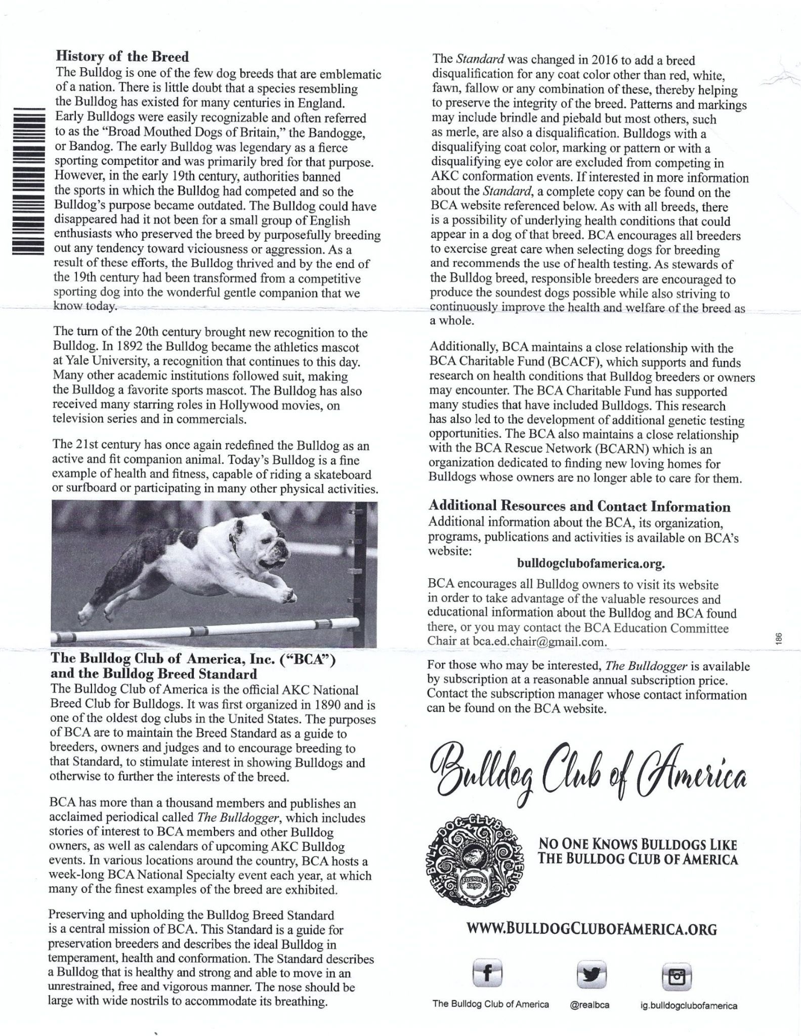 Text-heavy document with a dog jumping over a hurdle and the logo for the Bulldog Club of America.