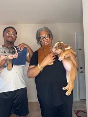 A young man and an older woman hold bulldog puppies indoors. The woman smiles, puppies look towards each other.