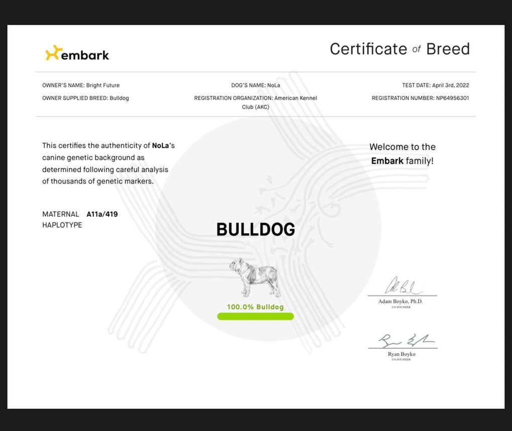 Certificate of Breed from Embark DNA tests, displaying 