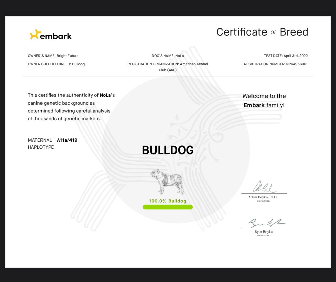 Certificate of Breed from Embark DNA tests, displaying
