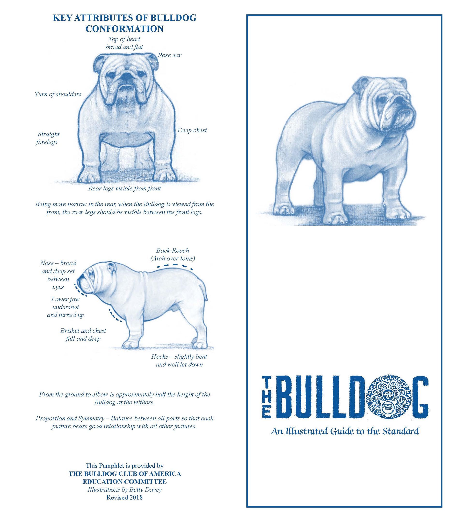 A blue and white illustrated bookmark featuring a bulldog and anatomical diagrams.  The title is 