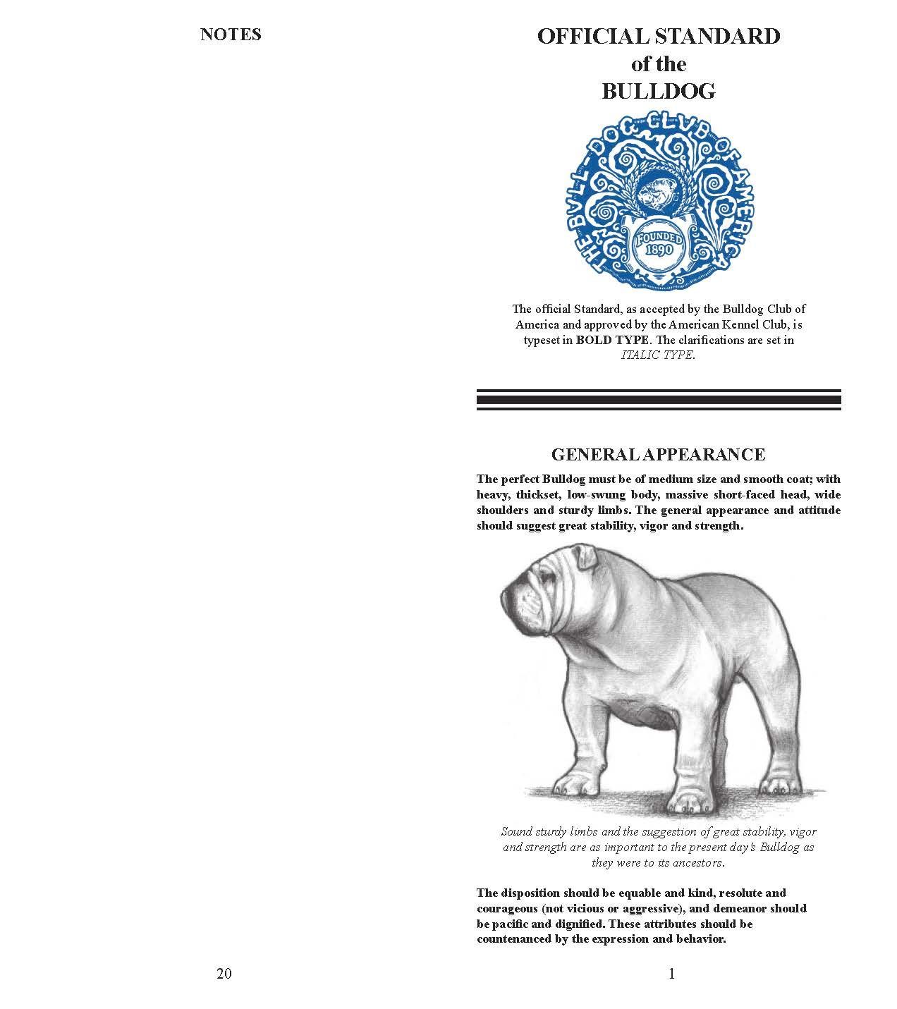 Official standard document for the Bulldog breed, featuring a detailed illustration of a standing Bulldog.