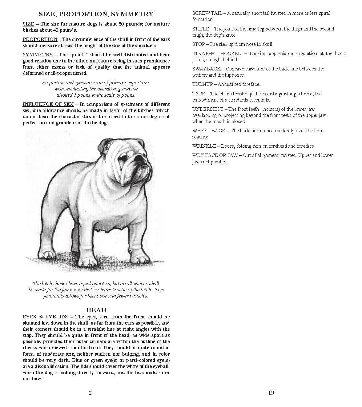 An illustrated bulldog stands, facing forward. The text details the breed's history, appearance, and characteristics.