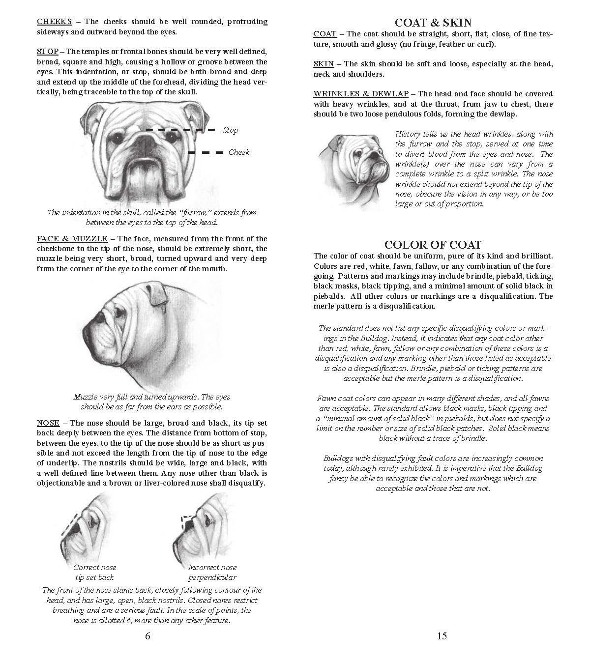 Diagram of an English Bulldog's features, including descriptions of its characteristics and breeding standards.