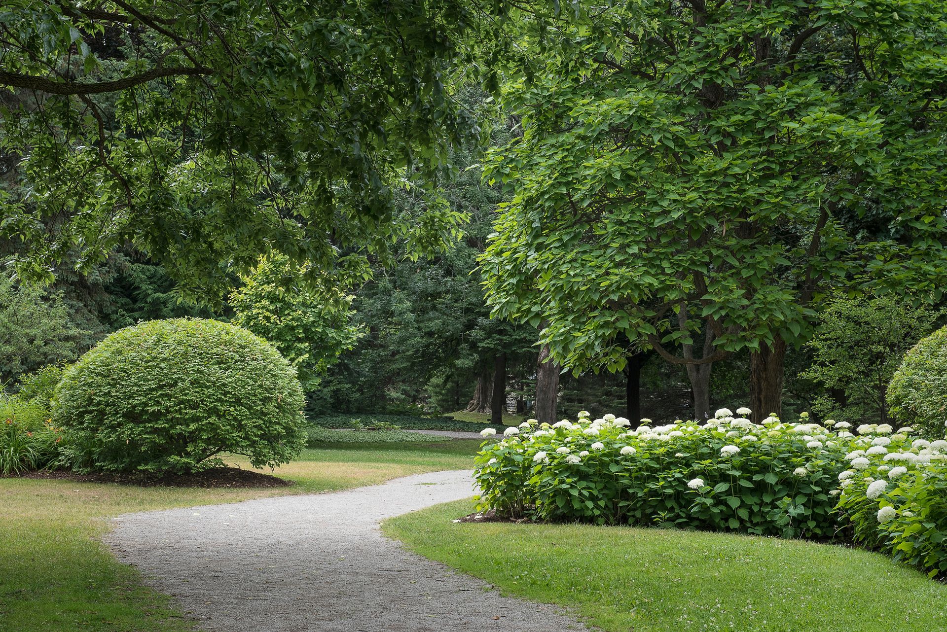 An Open Area with Trees and Shrubs — St. Charles, MI — Acorn Tree Service & Landscape Inc