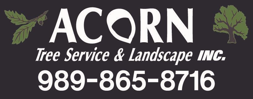 Acorn Tree Service & Landscape, Inc.