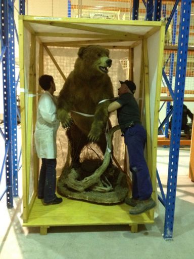 Relocation services :D