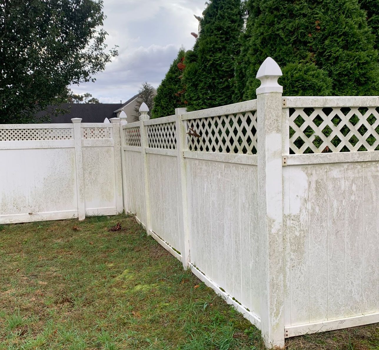 Vinyl Fence Cleaning