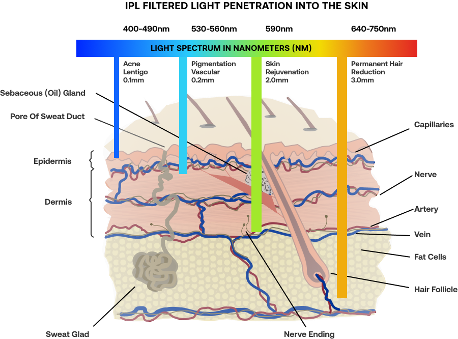 A Graph Showing The Absorption Coefficient Of Different Substances — Aura Mediclinic In Ashmore, QLD