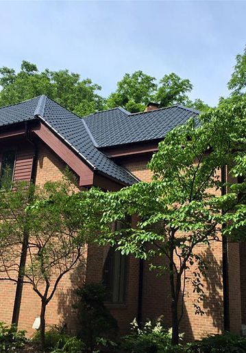 Trees Beside The House — Hudson, MI — D & C Roofing