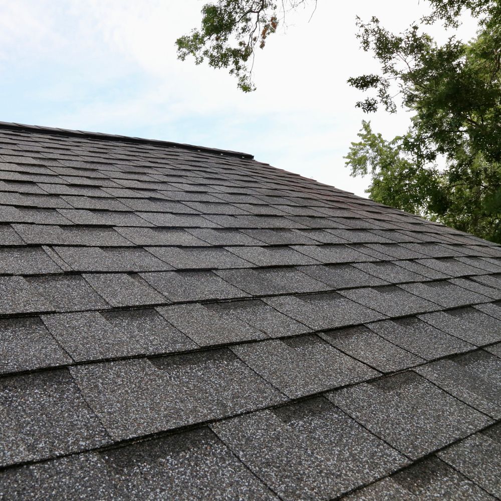 Newly Installed Shingle Roof — Hudson, MI — D & C Roofing