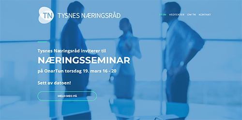 TYSNES NÆRINGSRÅD