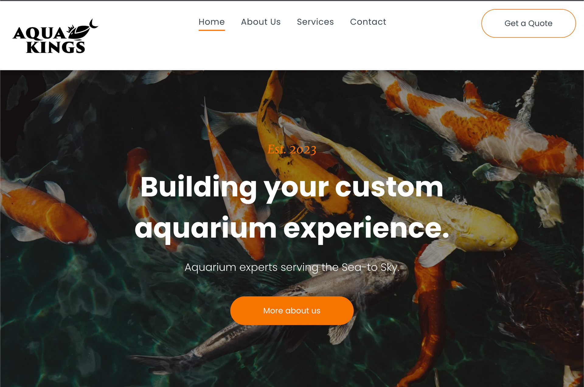A screenshot of the website for aqua kings building your custom aquarium experience.