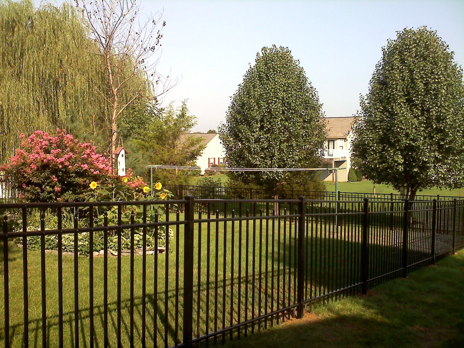 Black metal fence around a grassy backyard with trees, shrubs, and houses in the background.