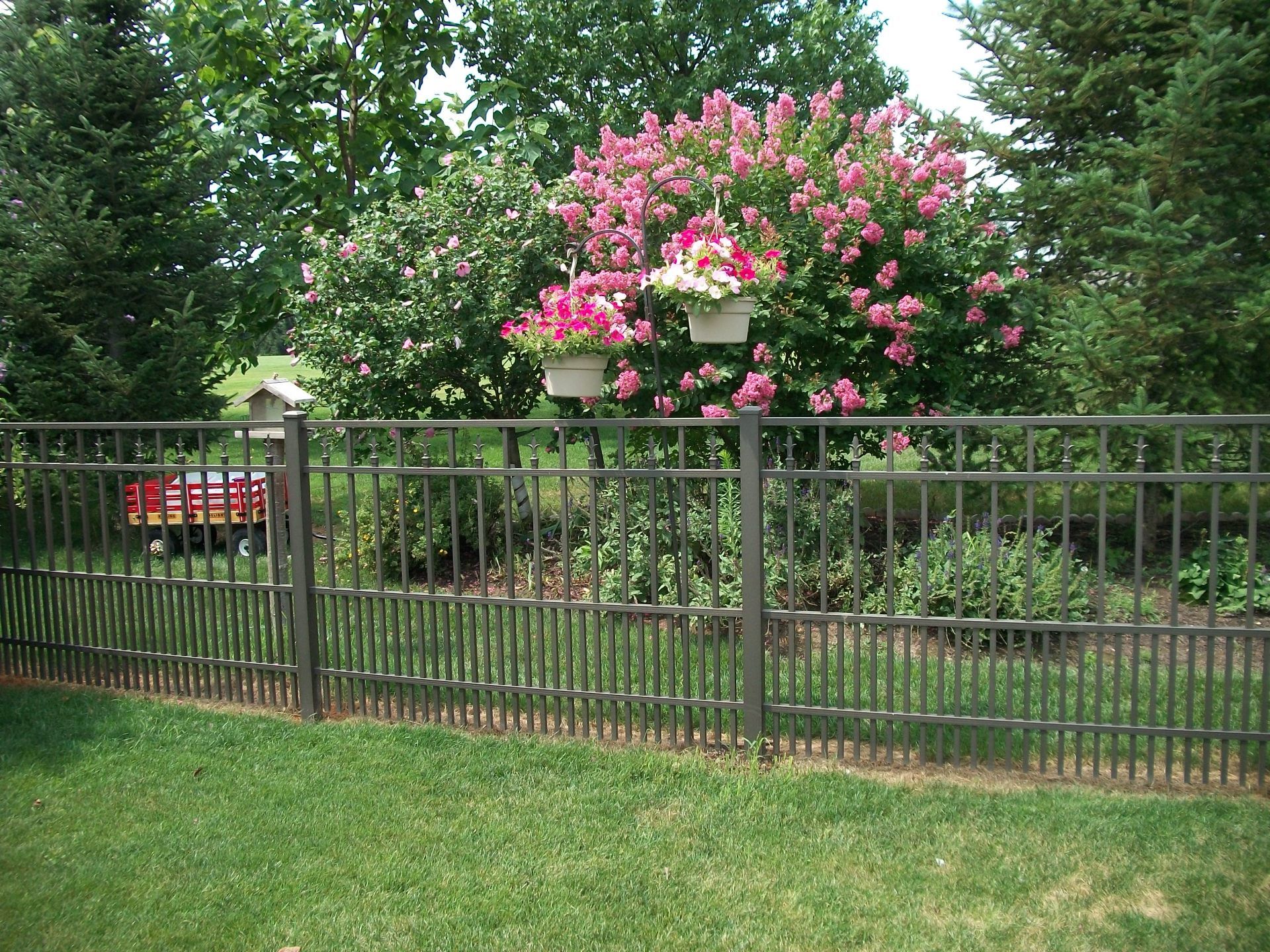 Brown metal fence in a green yard, with a flowering tree and hanging flower baskets in the background.