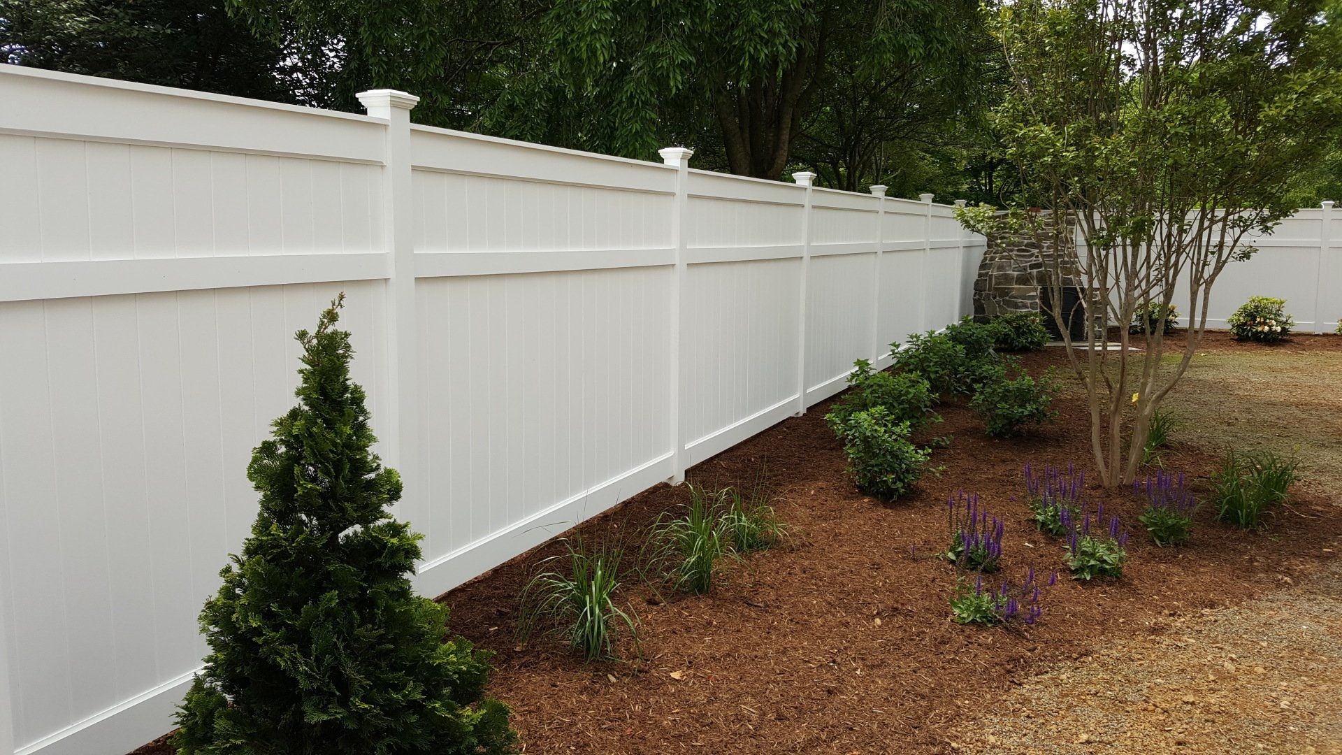 White vinyl fence in a yard with bushes and a tree.