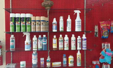 Flea and Tick Shampoo-Yvonne's Pet Grooming-Prescott, AZ