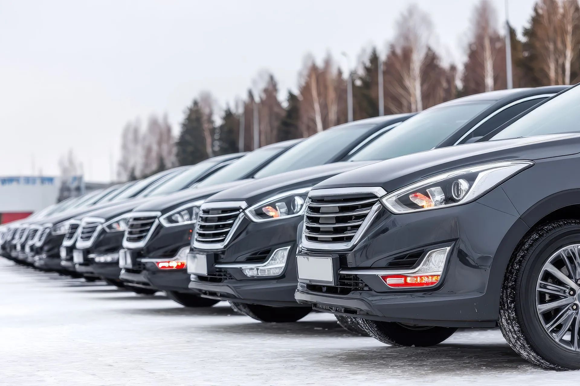 Row of dark gray cars parked in a snowy area, near trees.