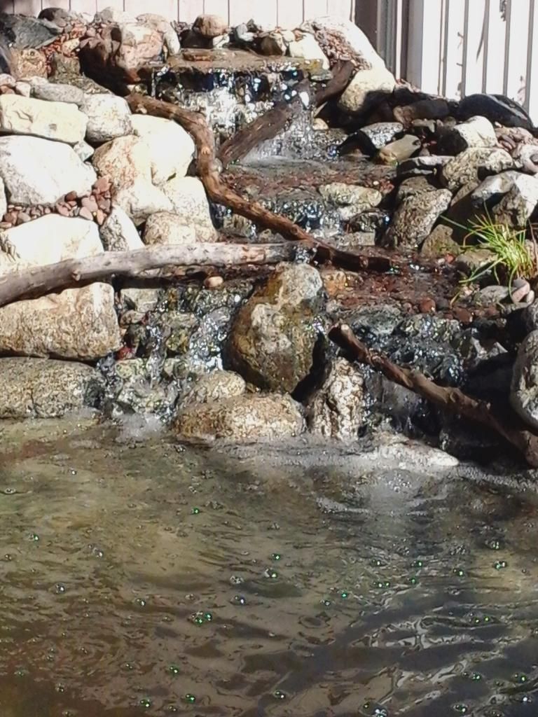 A small waterfall is surrounded by rocks and branches