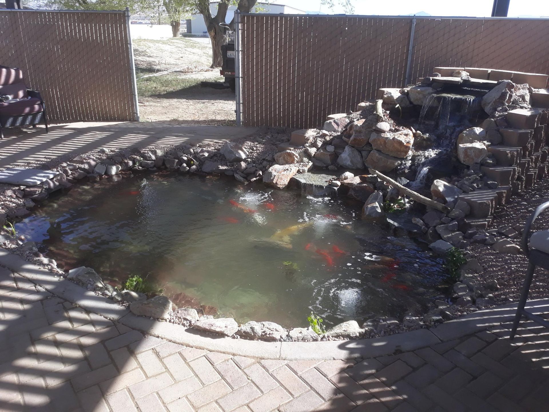 A pond with fish in it and a waterfall in the background