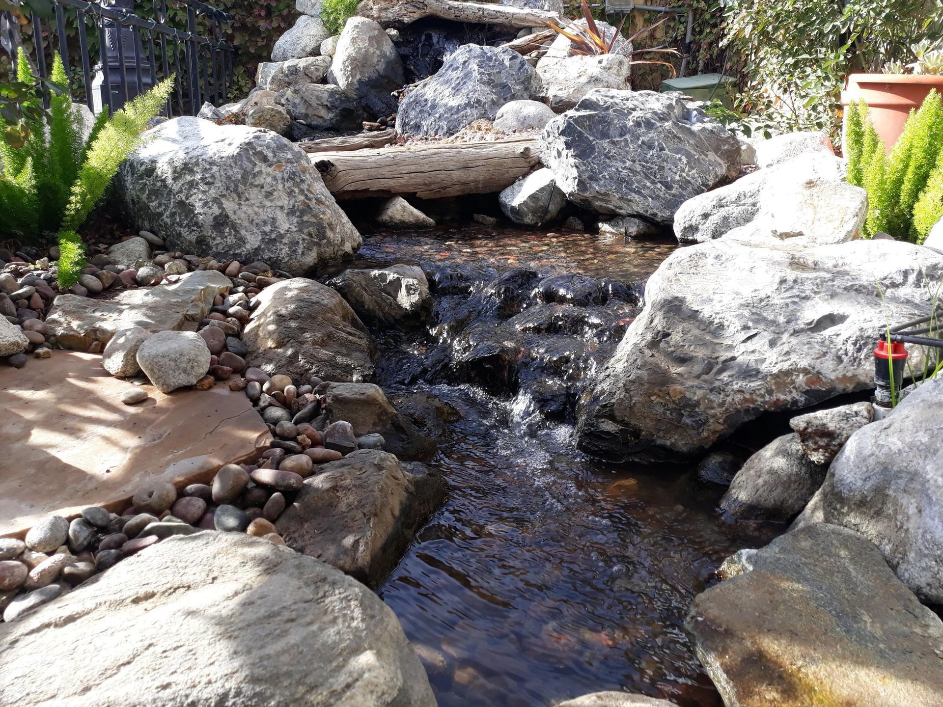 A stream surrounded by rocks and plants in a garden