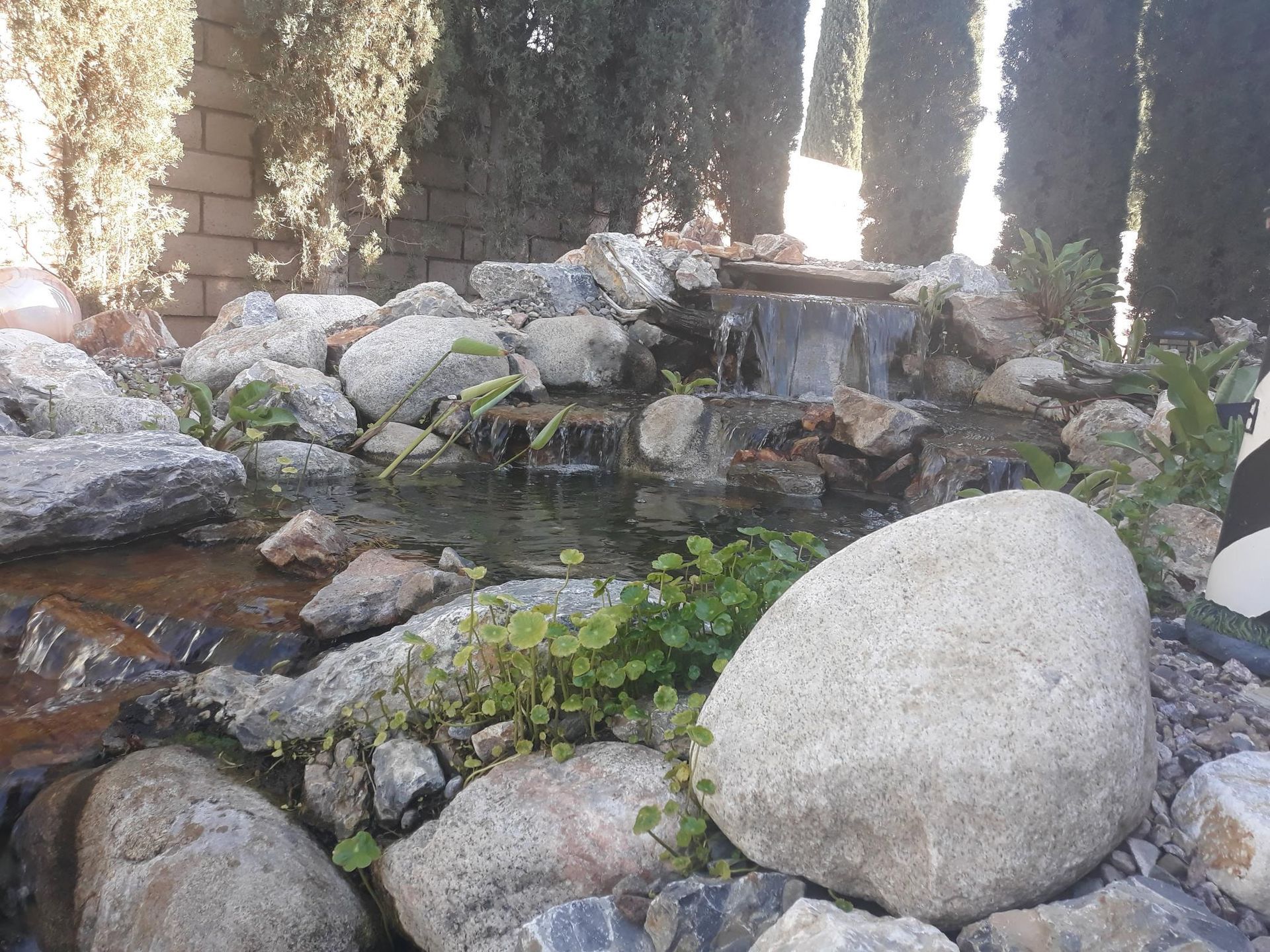 A small waterfall is surrounded by rocks and trees