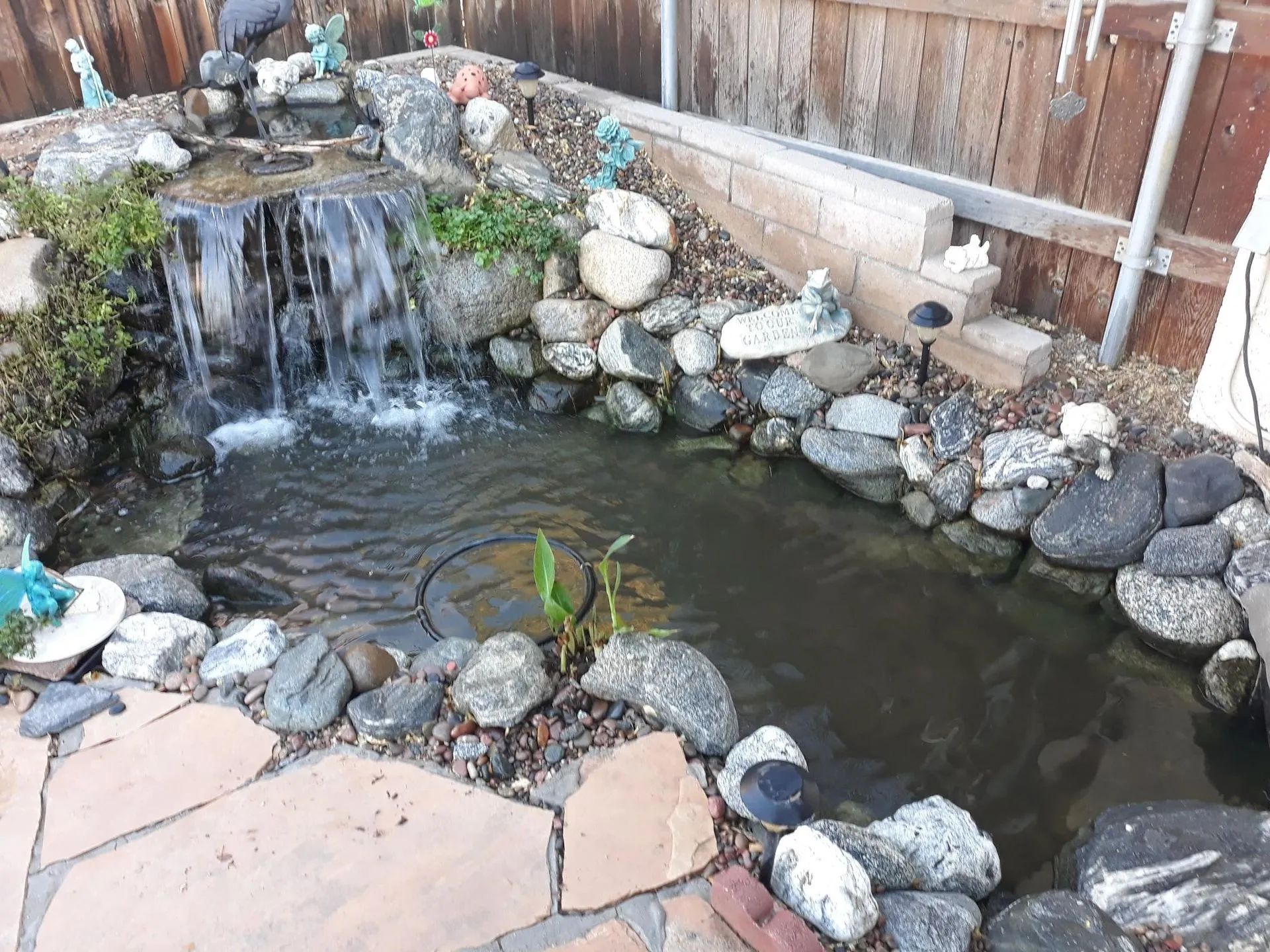A small backyard pond with a waterfall, surrounded by rocks and plants.