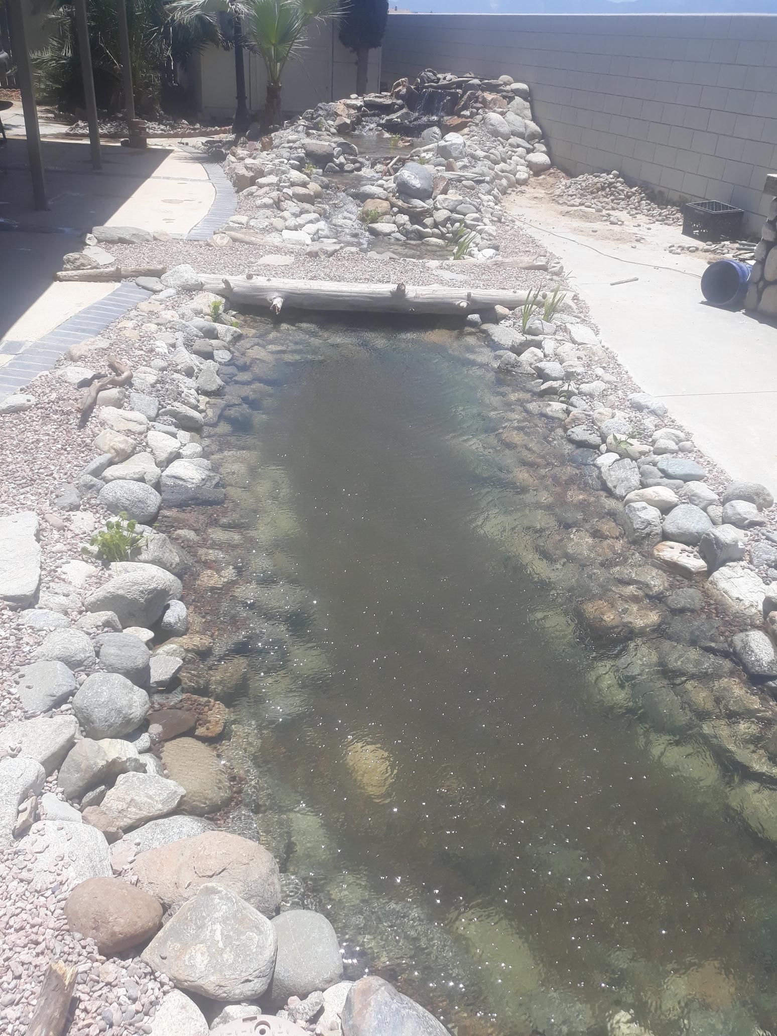 A small pond surrounded by rocks in a yard