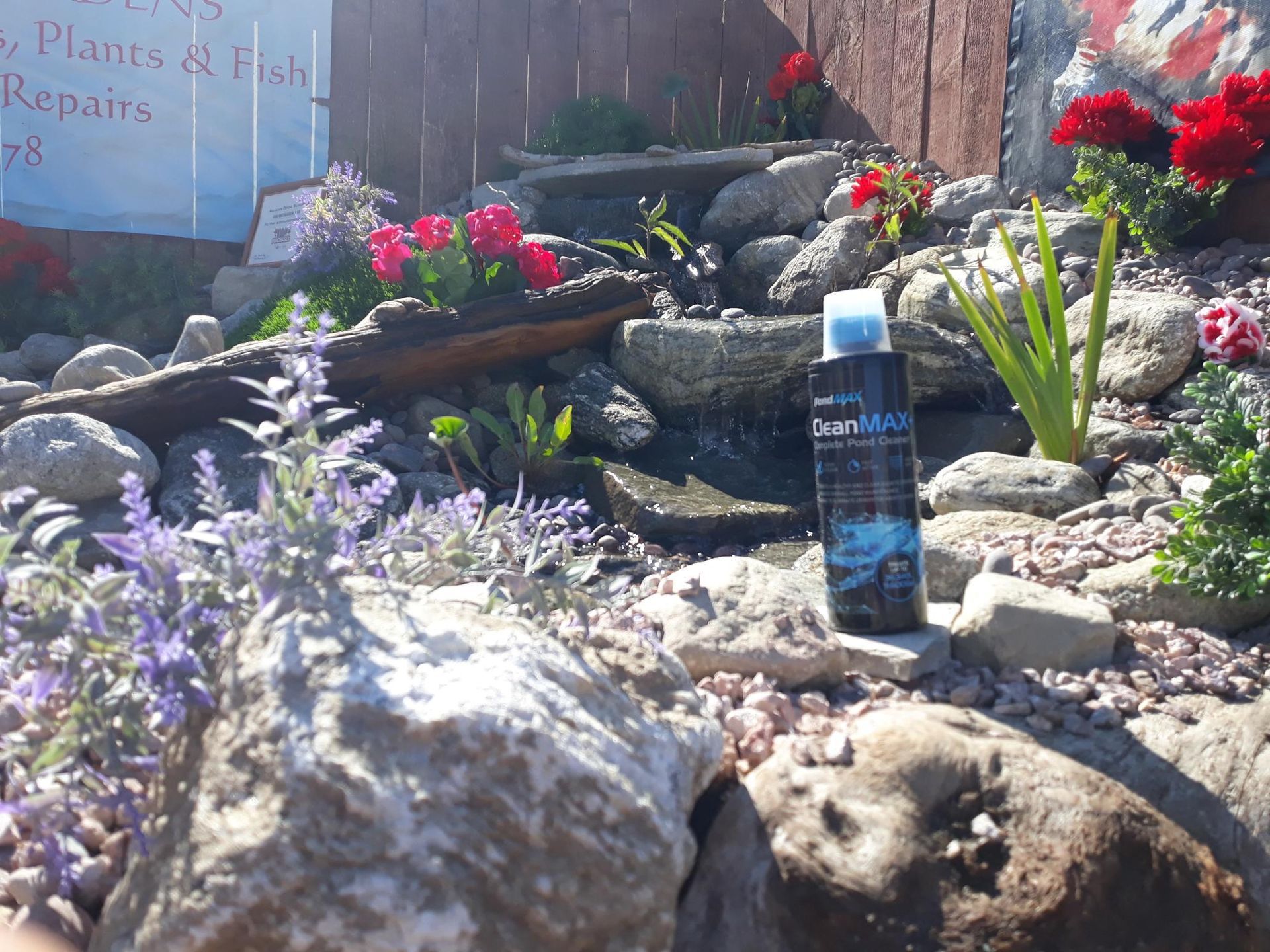 A bottle of deodorant is sitting in a rock garden