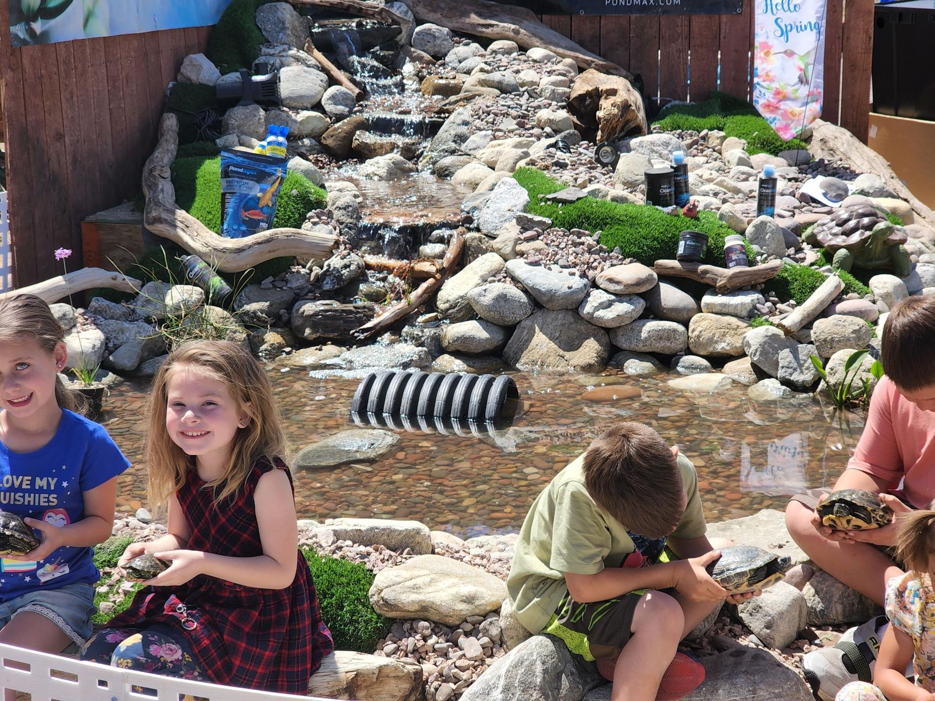 A group of children are sitting on rocks looking at turtles in a pond.