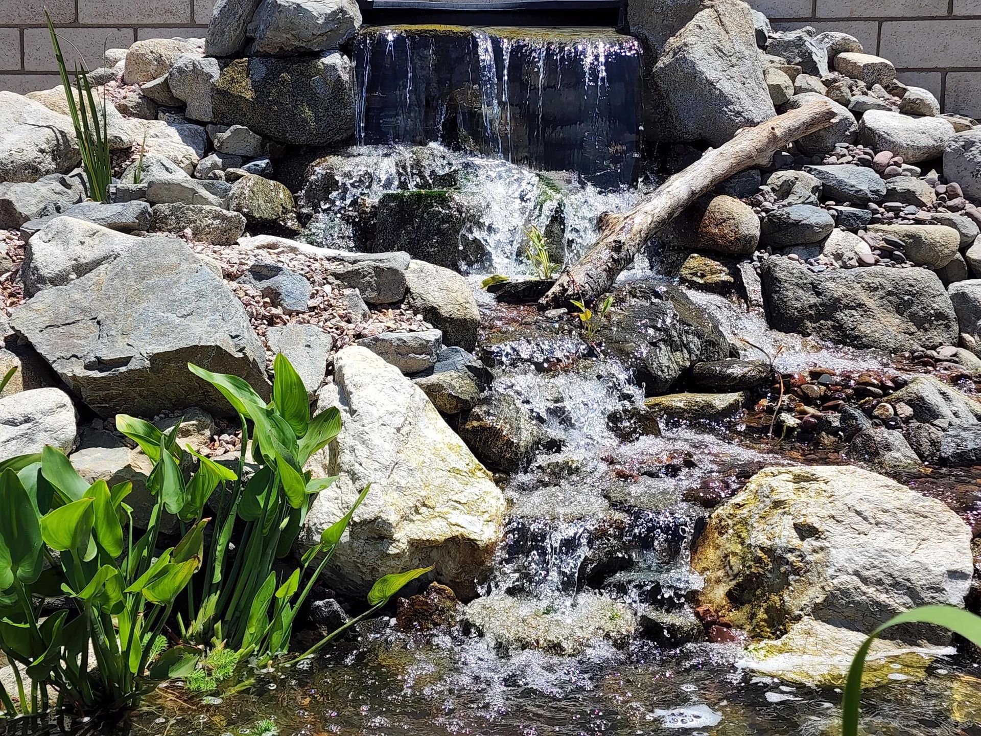A small waterfall is surrounded by rocks and plants in a pond.