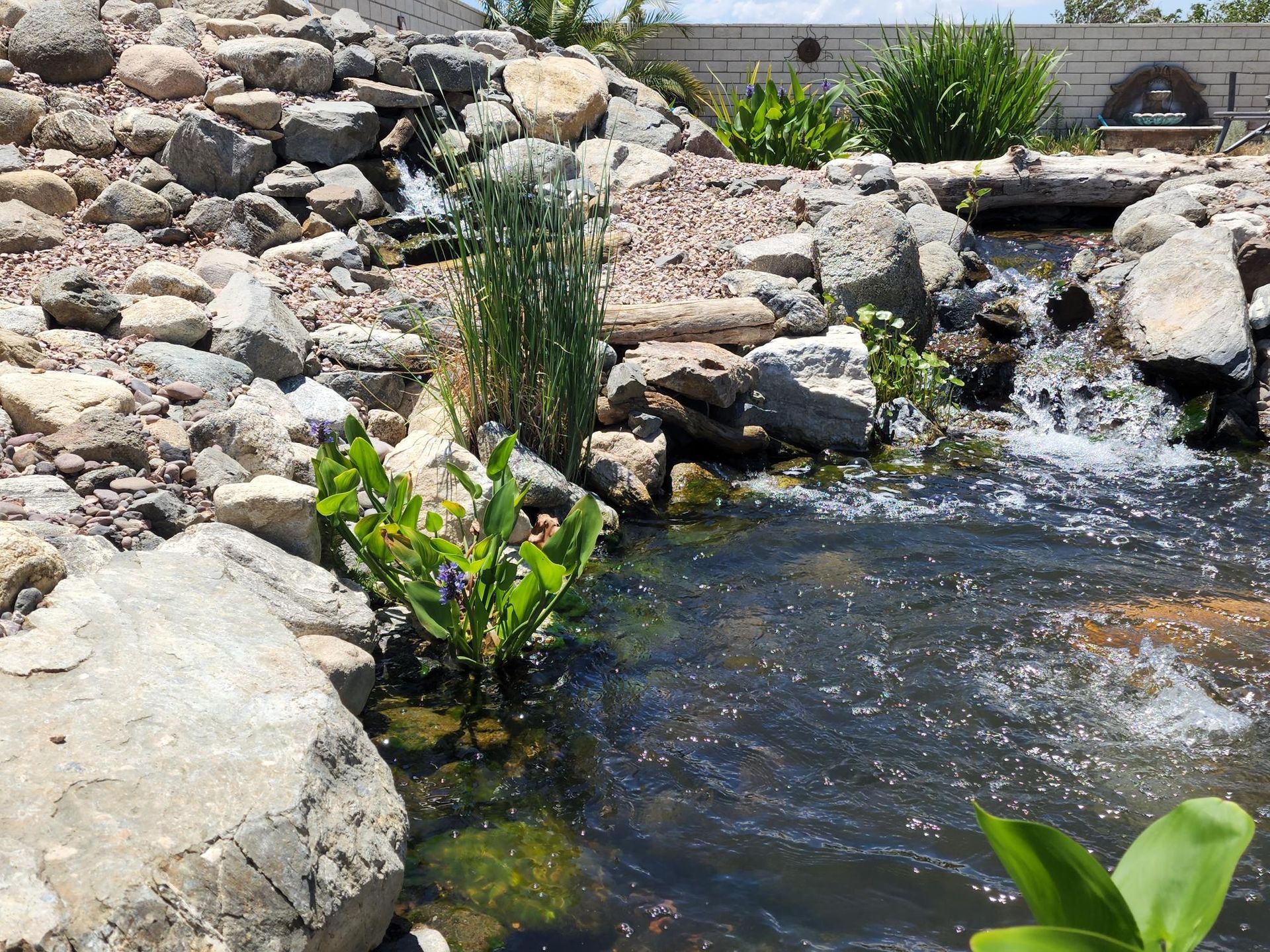 A pond surrounded by rocks and plants with a waterfall in the background.