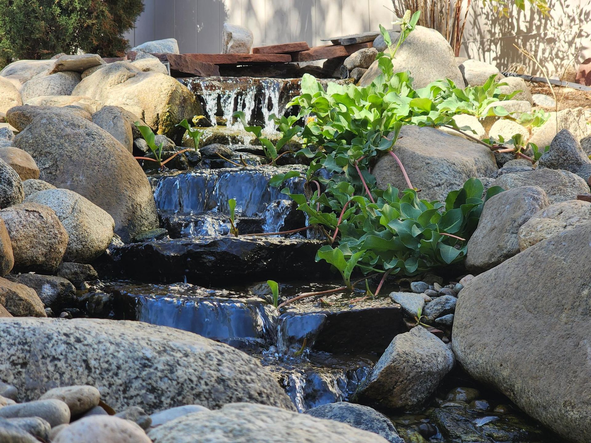 A small waterfall is surrounded by rocks and plants