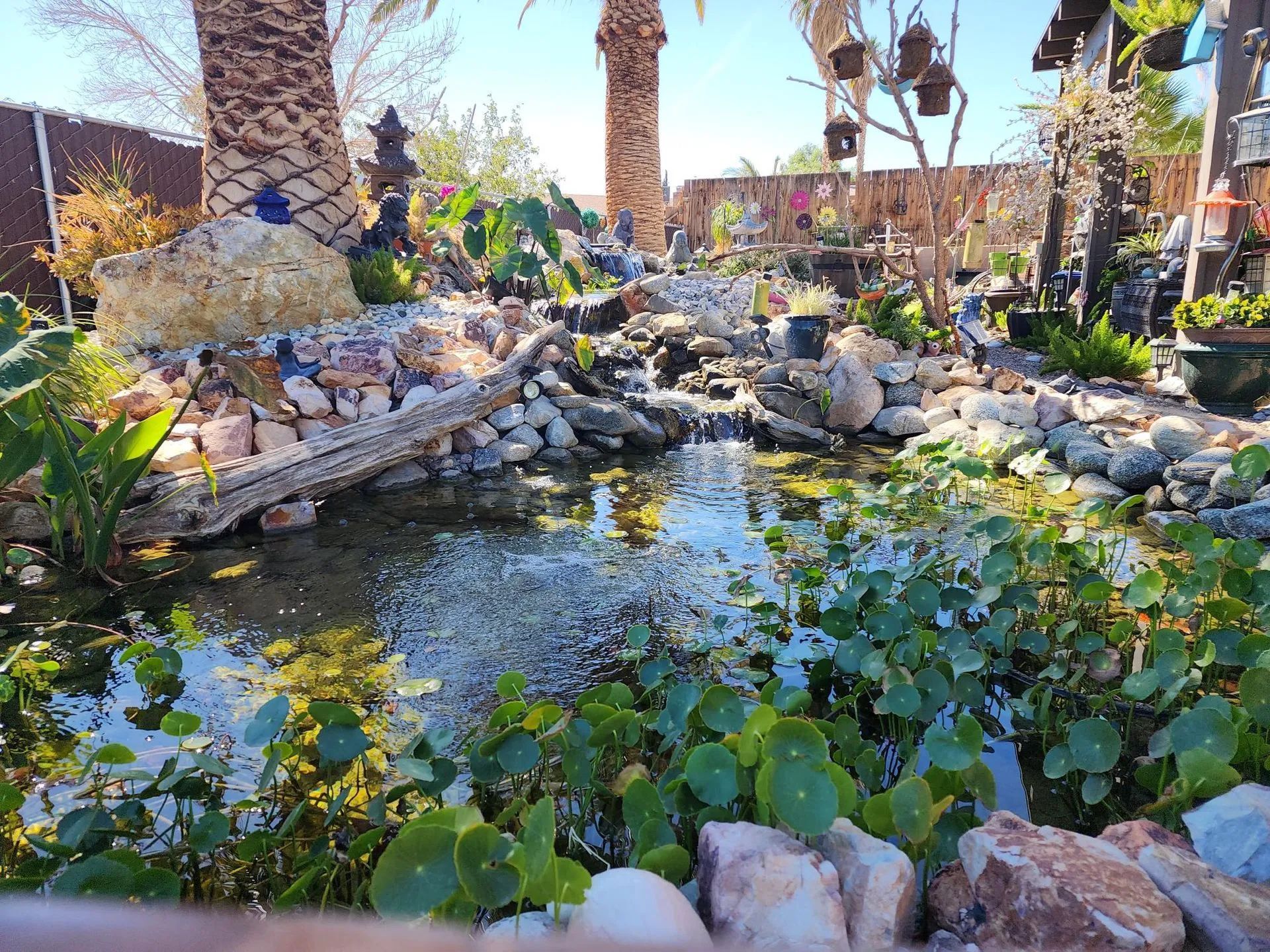 Water feature with cascading waterfall and lush green vegetation in a sunny outdoor setting.