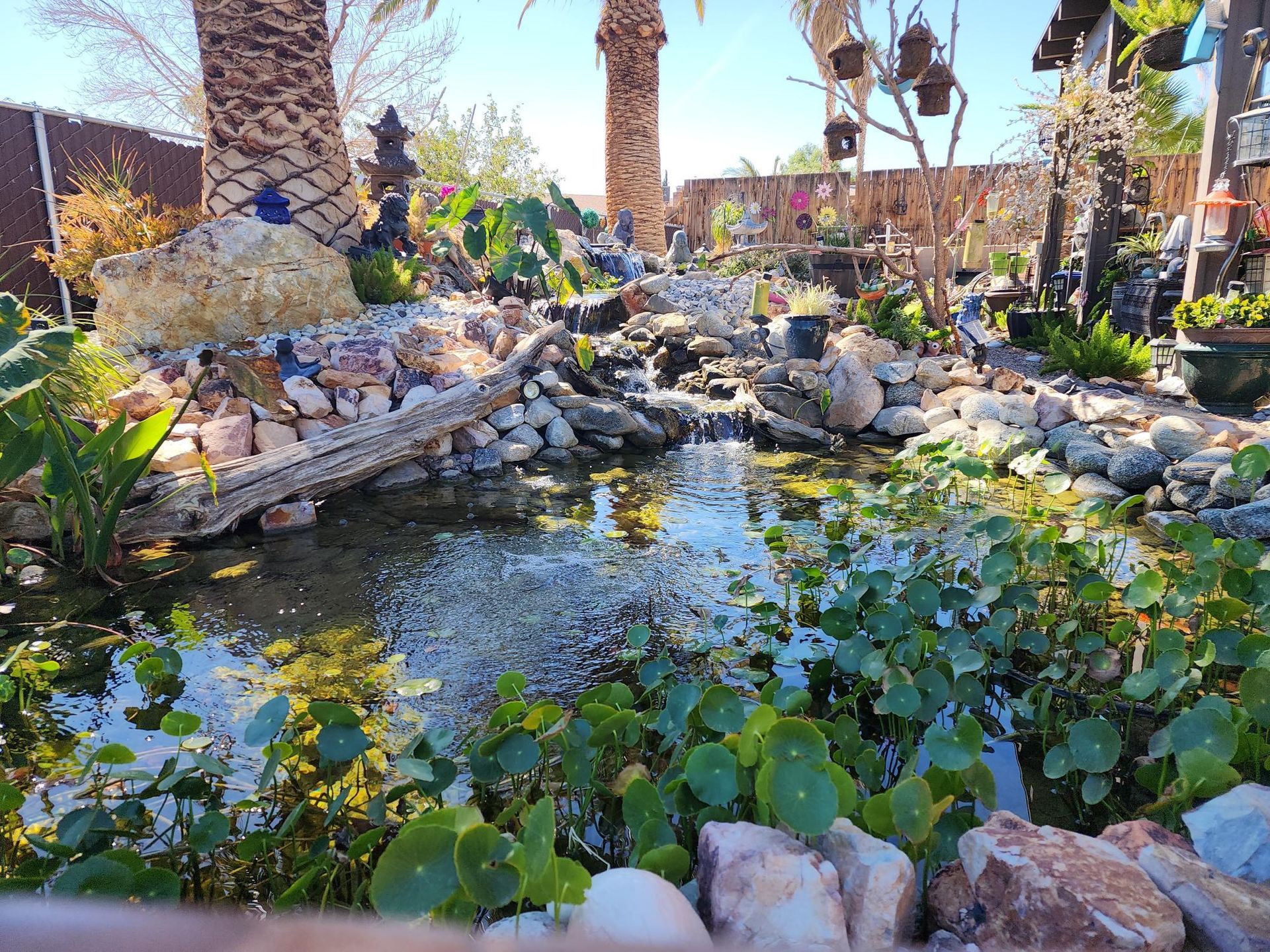 A pond with a waterfall in the middle of a garden surrounded by rocks and plants.