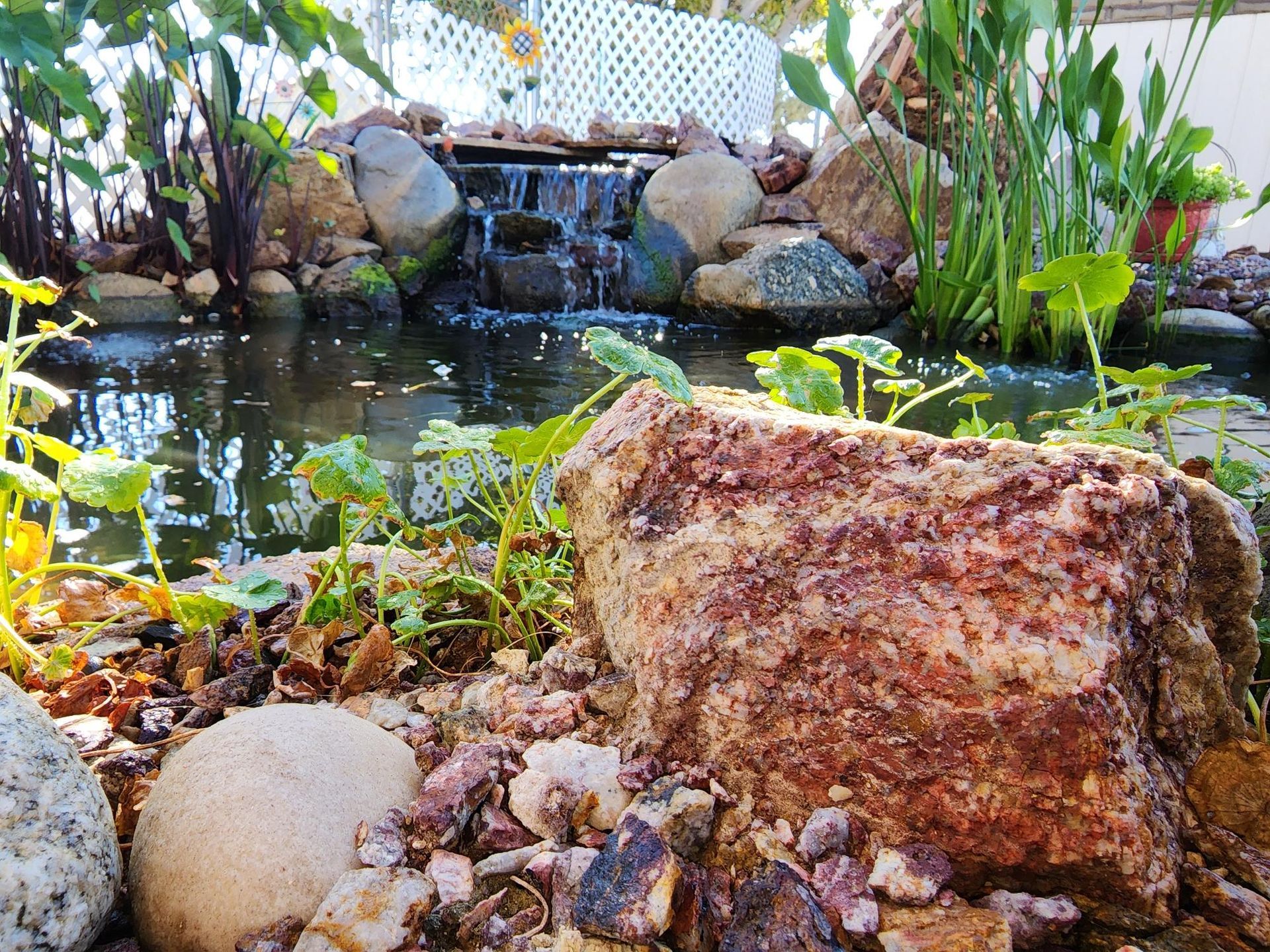 A rock is sitting in front of a pond with a waterfall in the background.