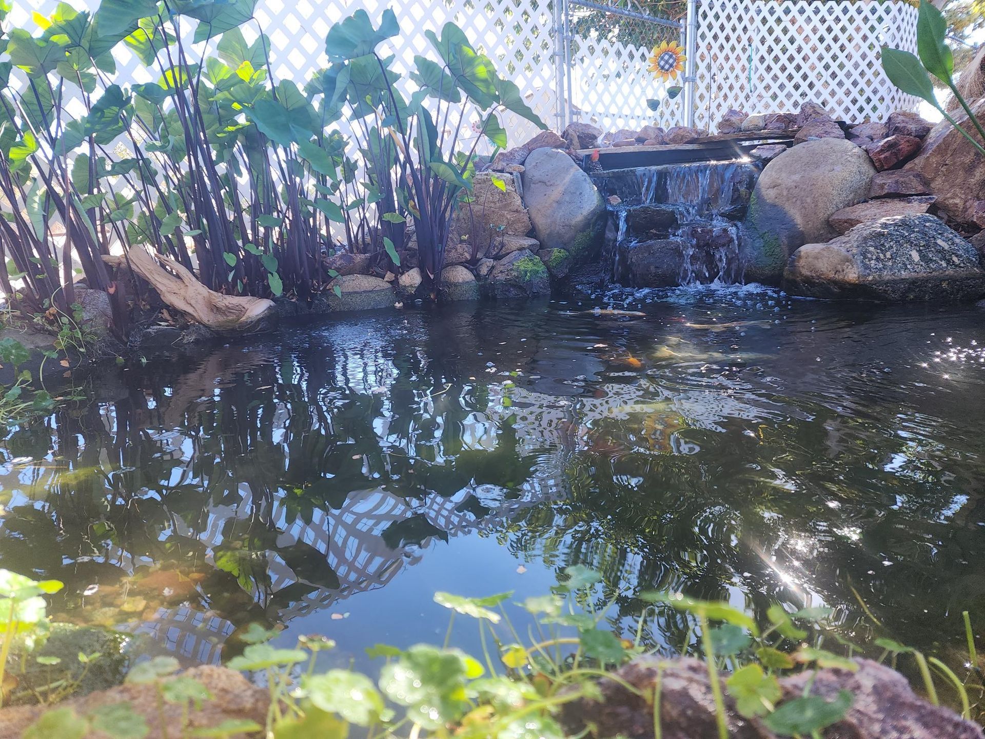 A pond with a waterfall in the middle of it