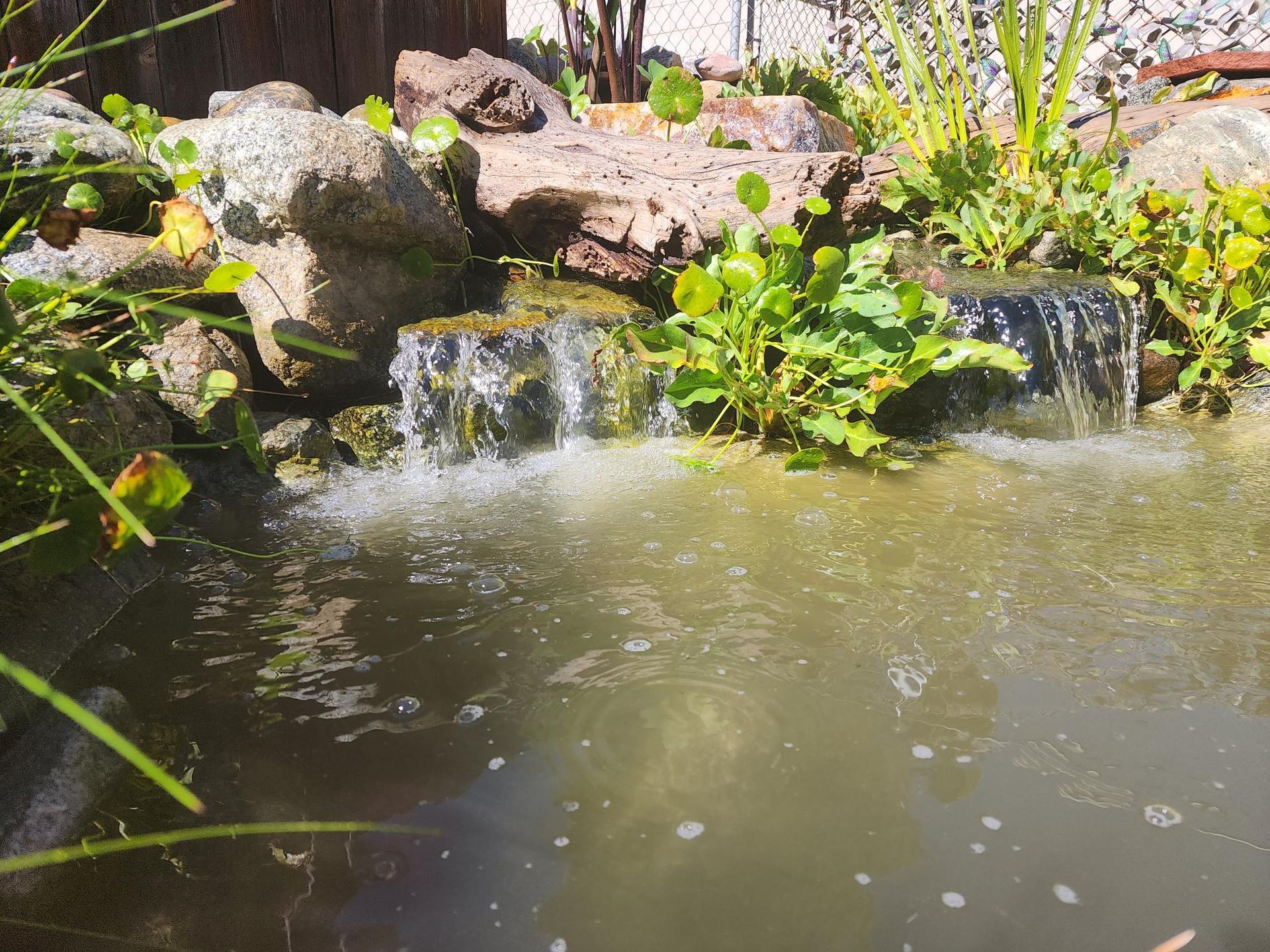 There is a small waterfall in the middle of the pond.