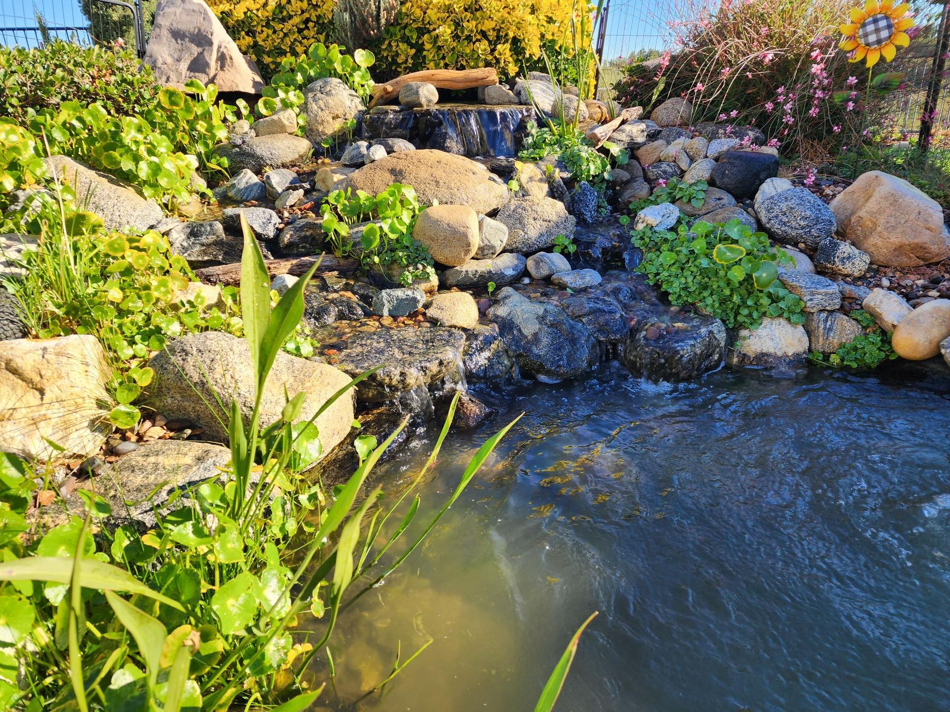A waterfall is surrounded by rocks and plants in a garden.