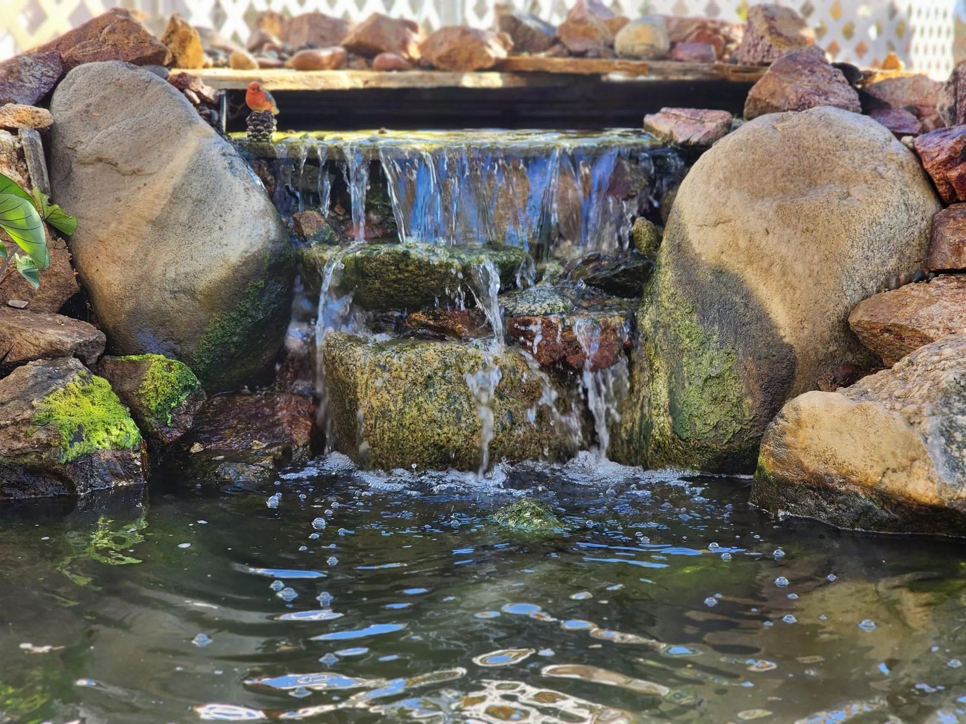 Small rock waterfall cascading into a pond, surrounded by mossy stones.