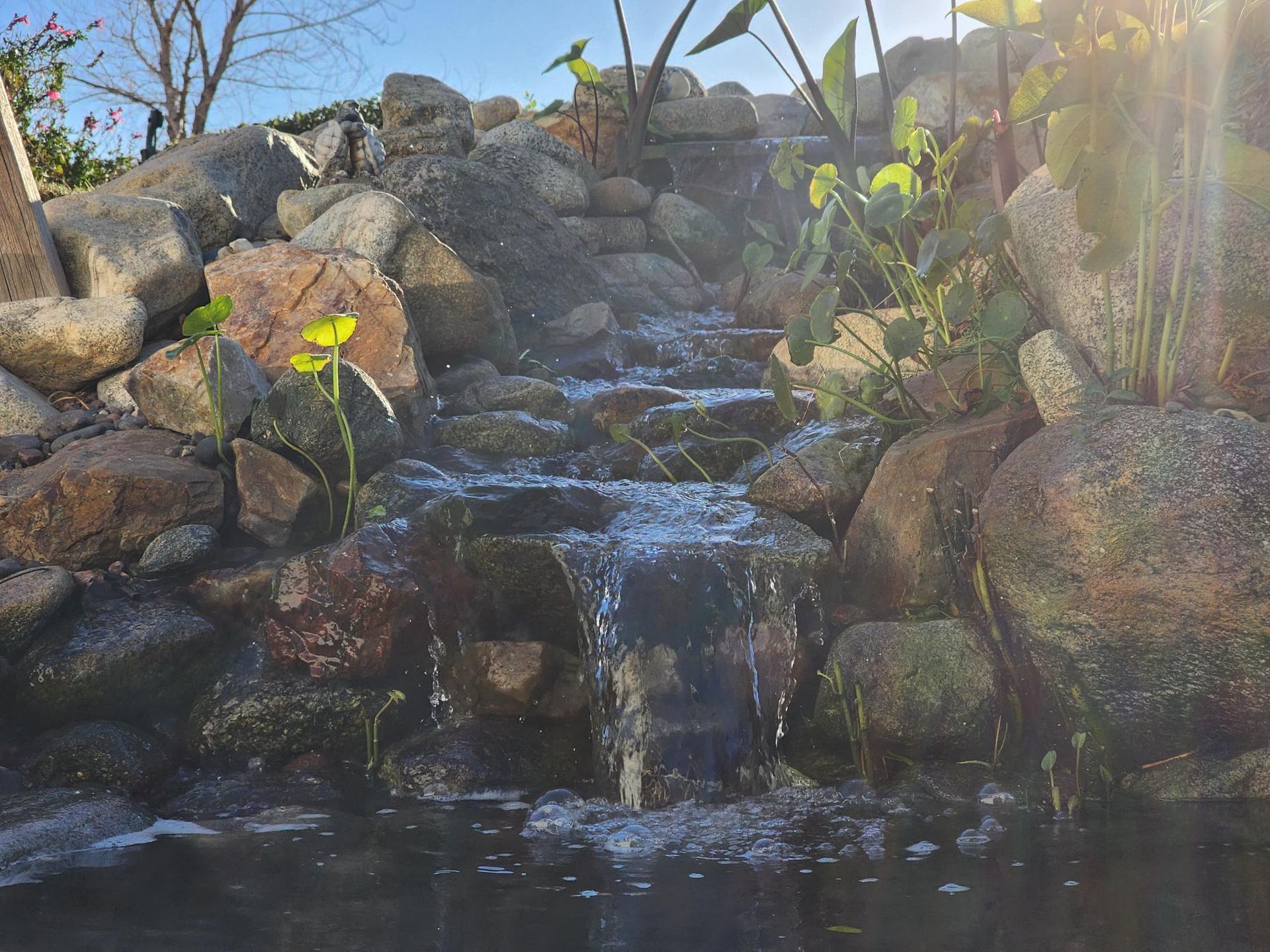A small waterfall is surrounded by rocks and plants.