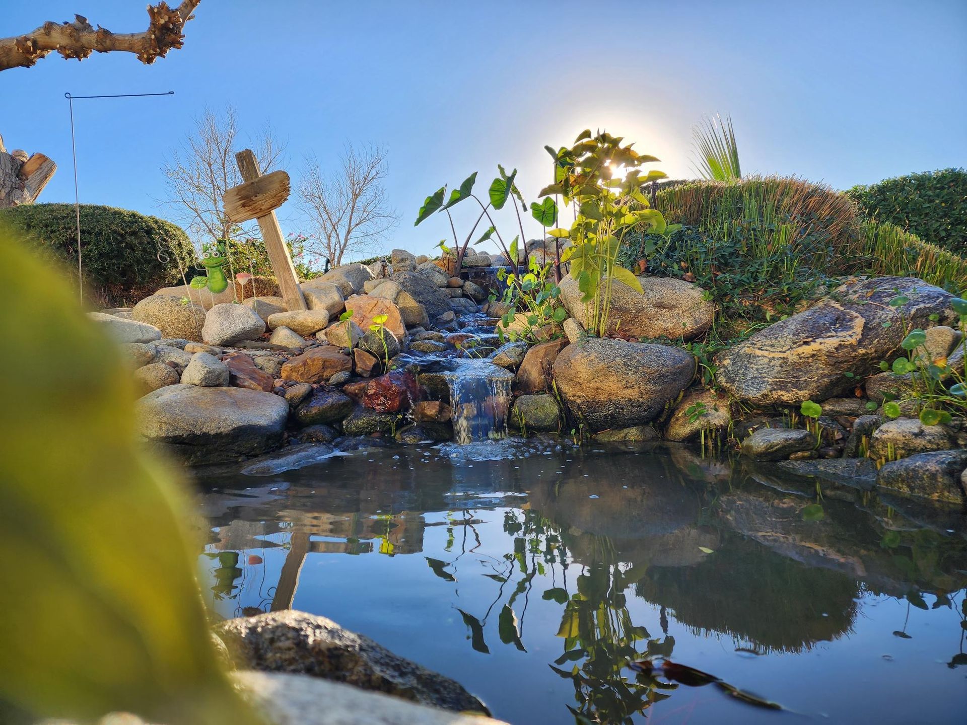 A pond with a waterfall in the middle of it