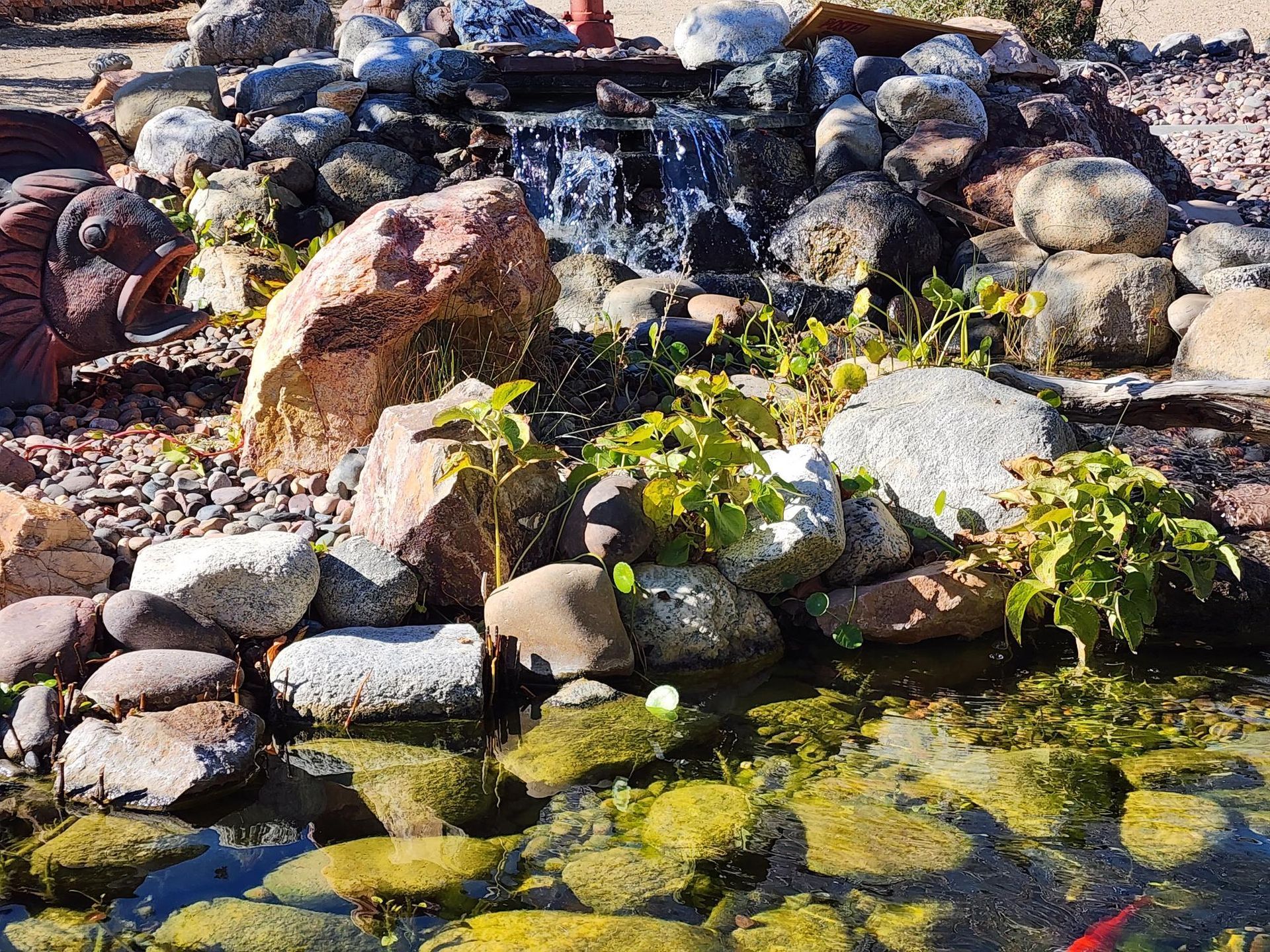 A pond surrounded by rocks and plants with a waterfall in the background.