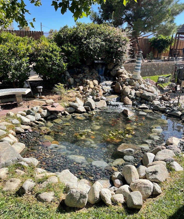 A pond surrounded by rocks and trees in a backyard.