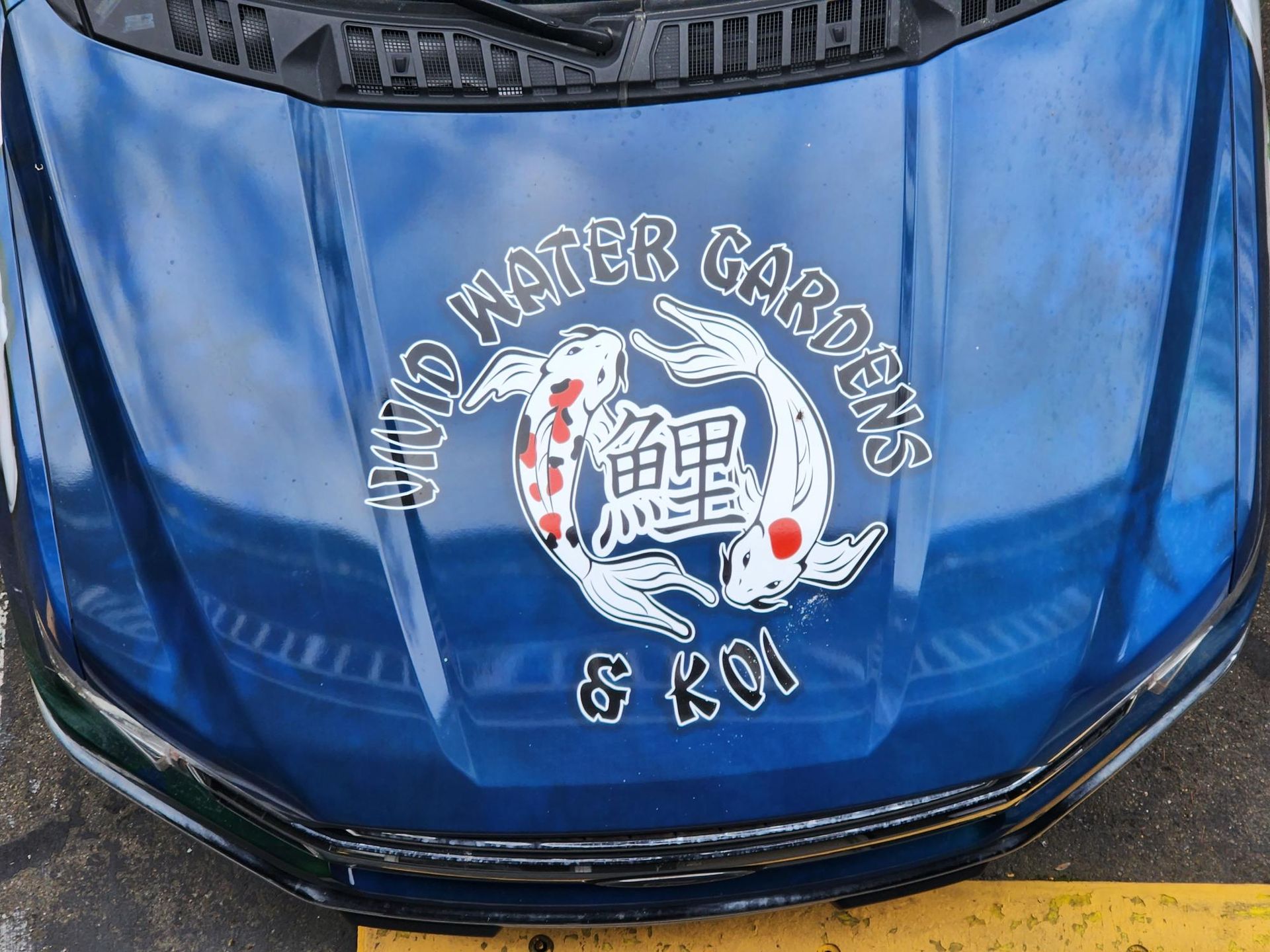 A blue car with a hood that says water gardens and koi